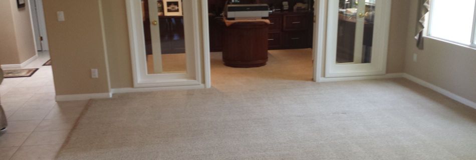 Clean Carpet