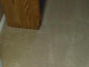 Red spot carpet cleaning after