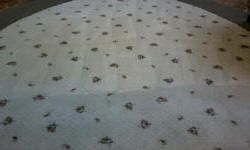 1/2 finished area rug cleaning