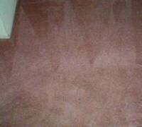 Power scrubed carpet
