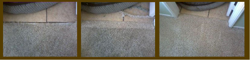Damaged carpet in need of carpet repair