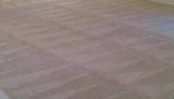finished carpet cleaning triangles